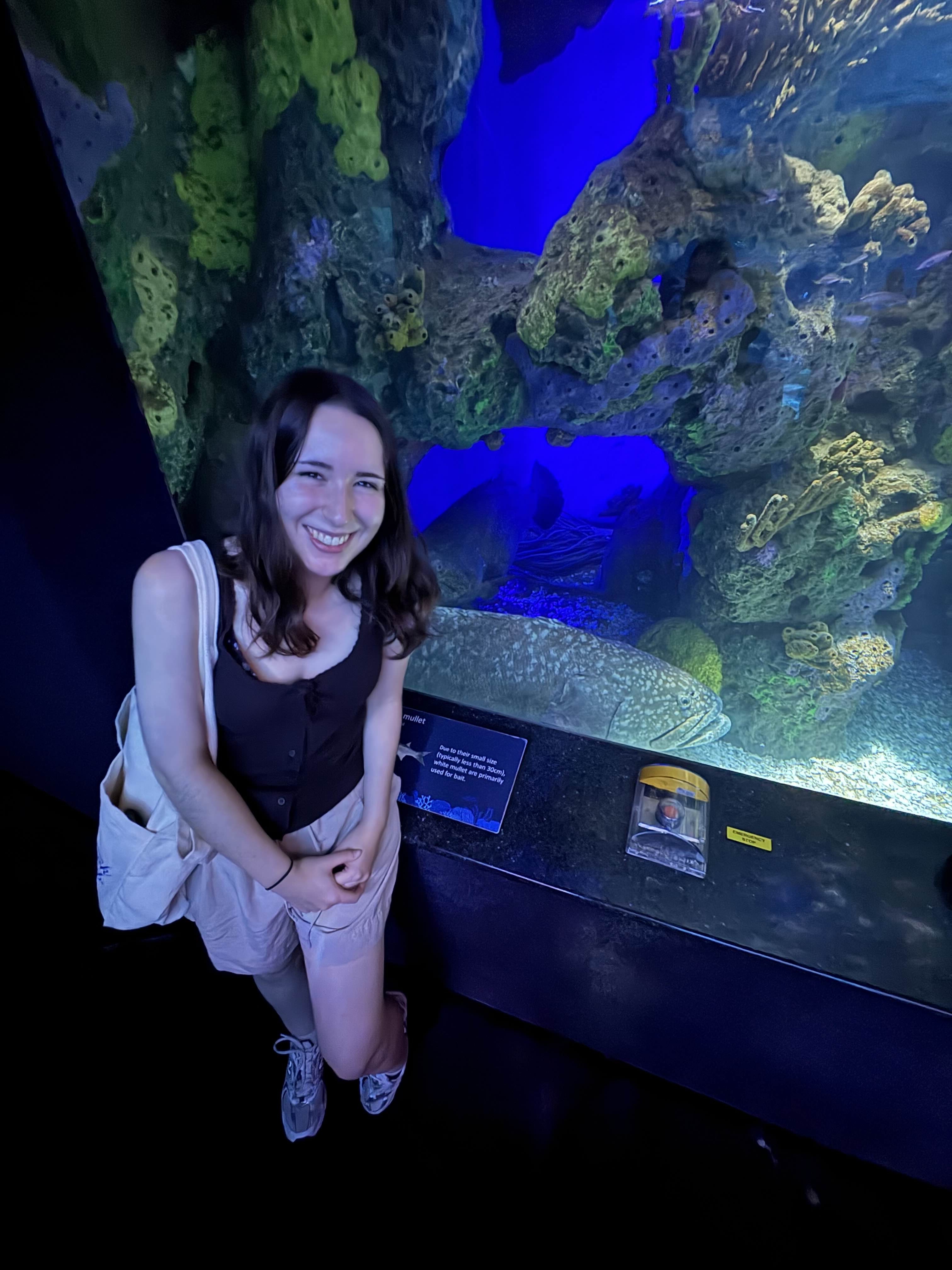 Aquarium 1